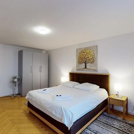 Bright 1 Bedroom Flat In The City Centre Цюрих Екстер'єр фото